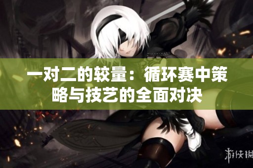 一对二的较量：循环赛中策略与技艺的全面对决