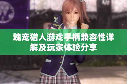 魂宠猎人游戏手柄兼容性详解及玩家体验分享