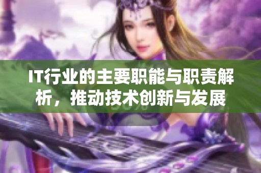IT行业的主要职能与职责解析，推动技术创新与发展