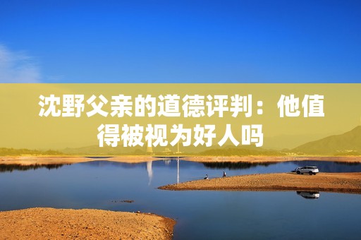 沈野父亲的道德评判：他值得被视为好人吗