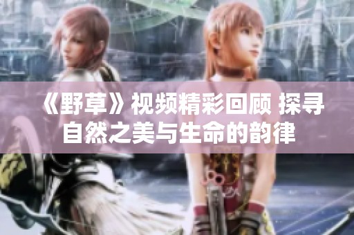 《野草》视频精彩回顾 探寻自然之美与生命的韵律